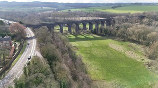 乡村高架桥横跨绿野