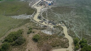 俯瞰蜿蜒河畔景观