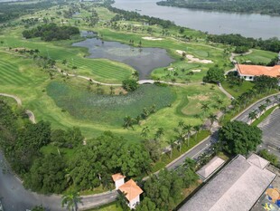 俯瞰绿意盎然的湖畔景观