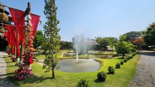 美丽园林景观喷泉场景