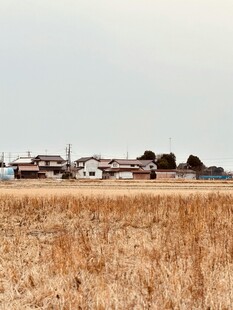 田野旁的村庄景象