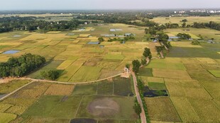 广袤田野风光俯瞰图