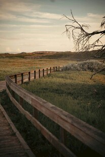 木栈道旁的原野风光
