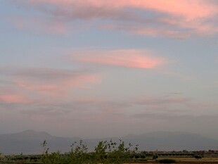 粉霞满天的宁静原野