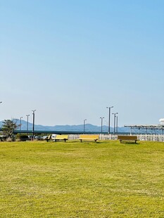 广阔草地与远处景致