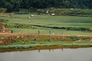 湖畔绿野 田园牧歌景致