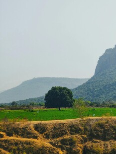 田园山野风光美景