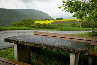 户外野餐桌旁的田园风光