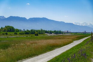 田园小路旁的远山美景