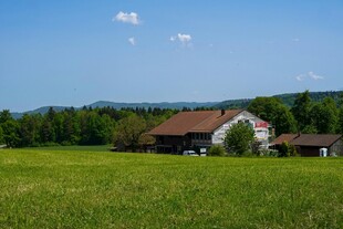 田园风光中的乡村小屋