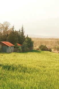 田野中的红顶小屋
