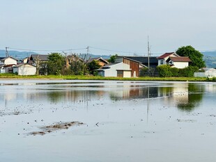 湖畔村落美景