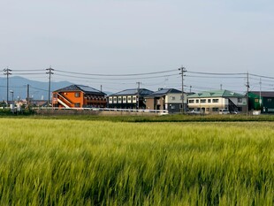 田野边驶过的多彩列车