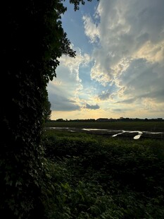 黄昏下的田野与天空美景