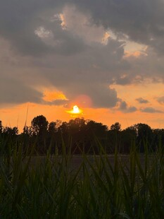 夕阳下的田野美景