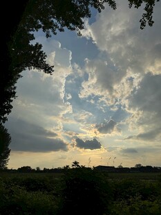 黄昏时分的天空与树林