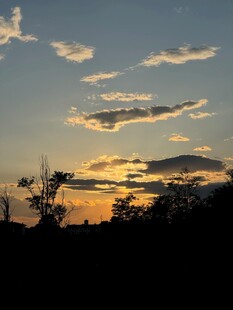 日落时分的天空与树木剪影