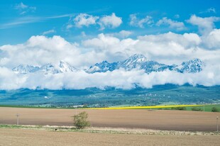 广袤原野与远处雪山美景