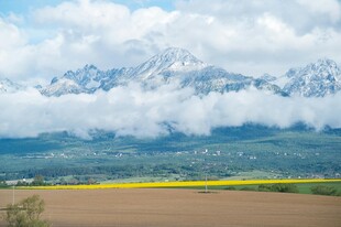 雪山下的广袤田野风光