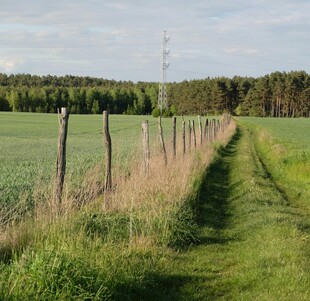 田野小径旁的木栅栏