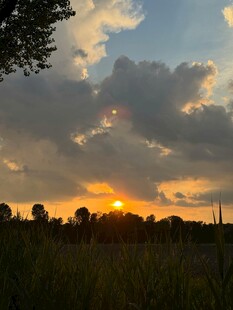 夕阳下的田野美景