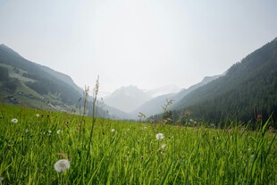 山间绿野 清新自然美景