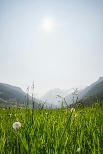 绿野山间的清新自然景象