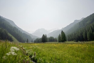山间绿野 自然清新之景