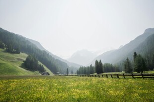 山间绿野 清新自然之景