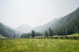 山间绿野 静谧自然之景