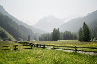 山间绿野木栏风景图