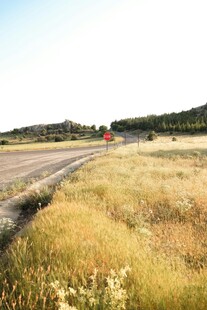 公路旁的金黄草地风景