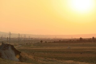 夕阳下的广袤田野