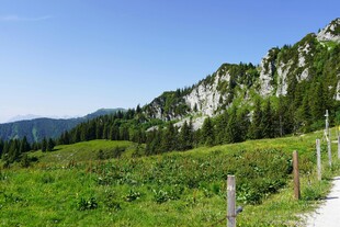 山间绿野小径风景
