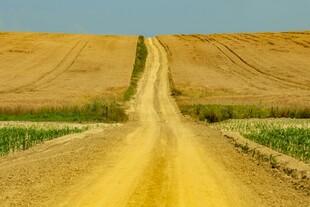 田野间的黄土小路