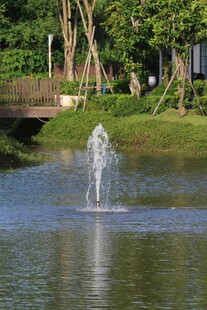 湖畔喷泉景观