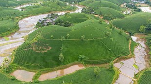 航拍田园风光美景