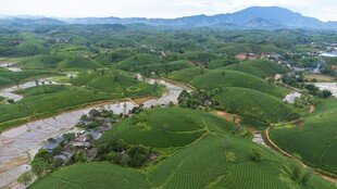 田园风光绿意盎然的美景