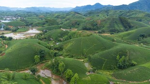 翠绿山峦间的迷人风光