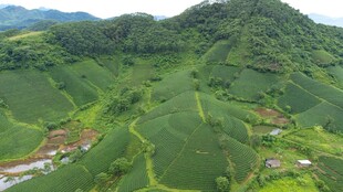 翠绿山峦间的田园风光
