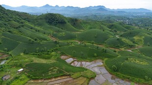 青山绿水间的田园风光