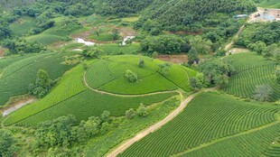 航拍翠绿山间田园风光