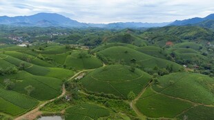 航拍绿色山丘田园美景