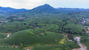 青山绿野乡村风光俯瞰图