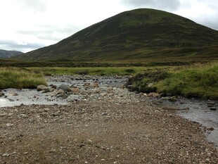 山间溪流旁的秀丽景致