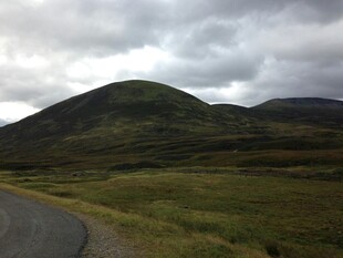 山间公路旁的葱郁青山