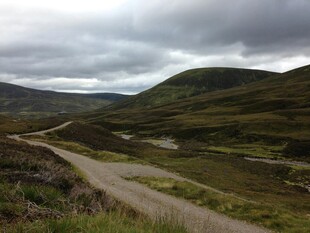 山间蜿蜒小路 自然景致