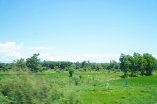 绿野蓝天 自然清新景致