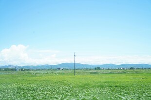 广袤绿野 蓝天远山之景