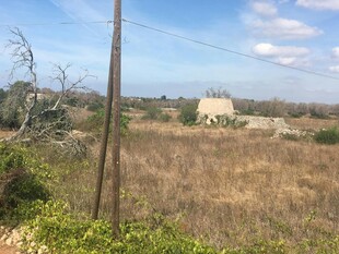 乡村旷野风景